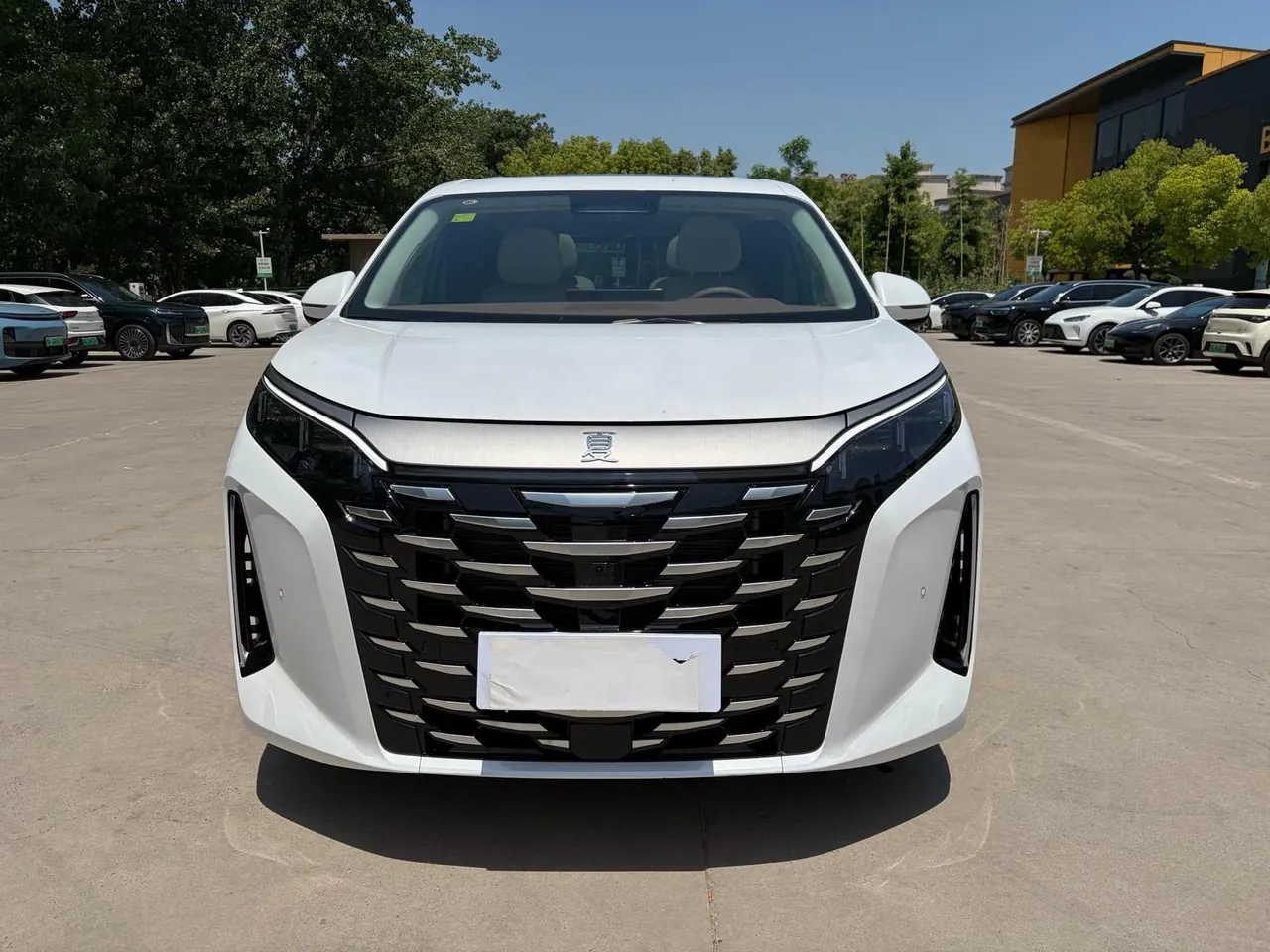 BYD 2025 summer DM-i 1.5T stepless 100km leading automatic gear 2