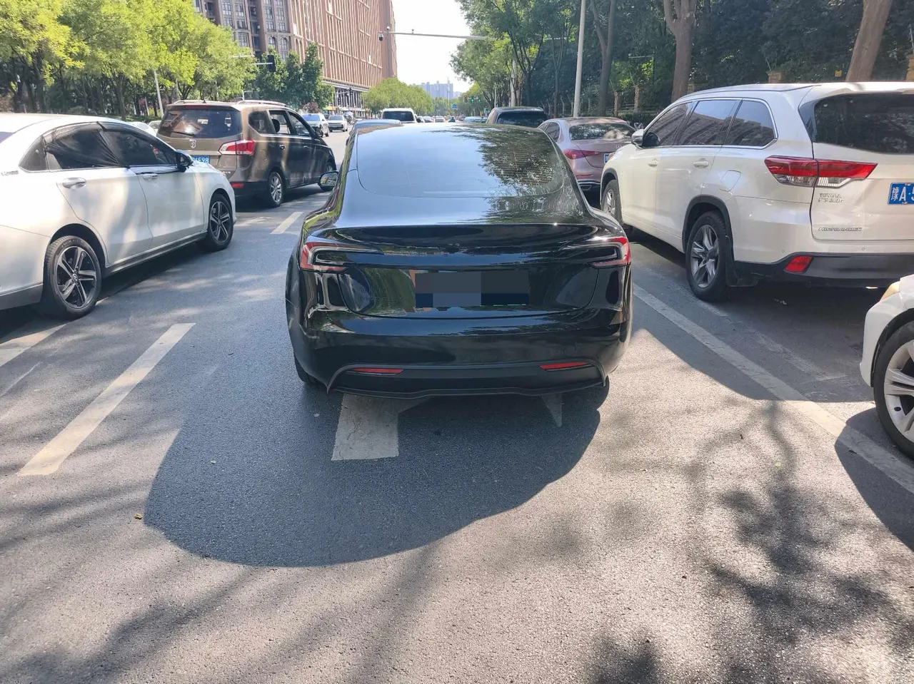 Tesla 2025 Model 3 Long Endurance All-Wheel Drive Edition (Changed) Automatic Gear 3