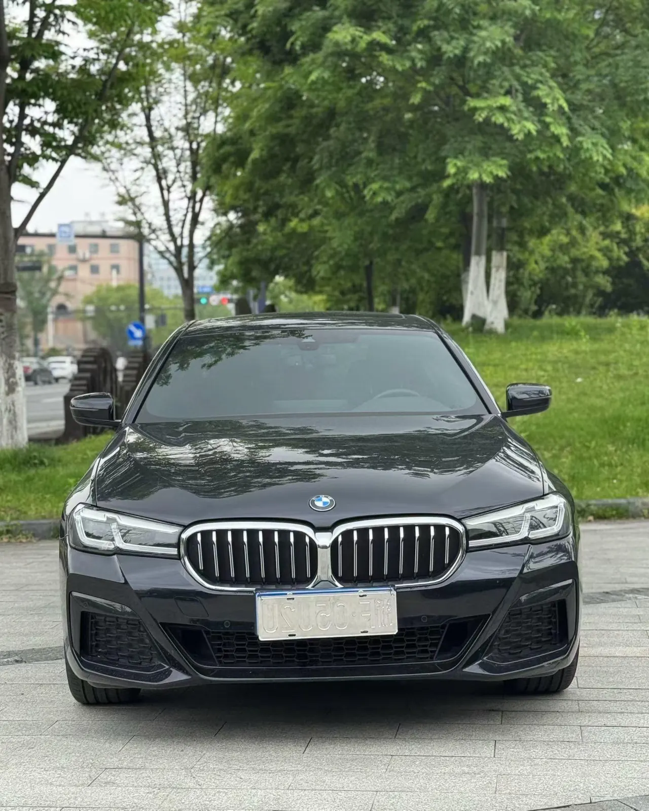 BMW 5 Series 2023 530Li xDrive 2.0T M Sports Suit Automatic Gear 2