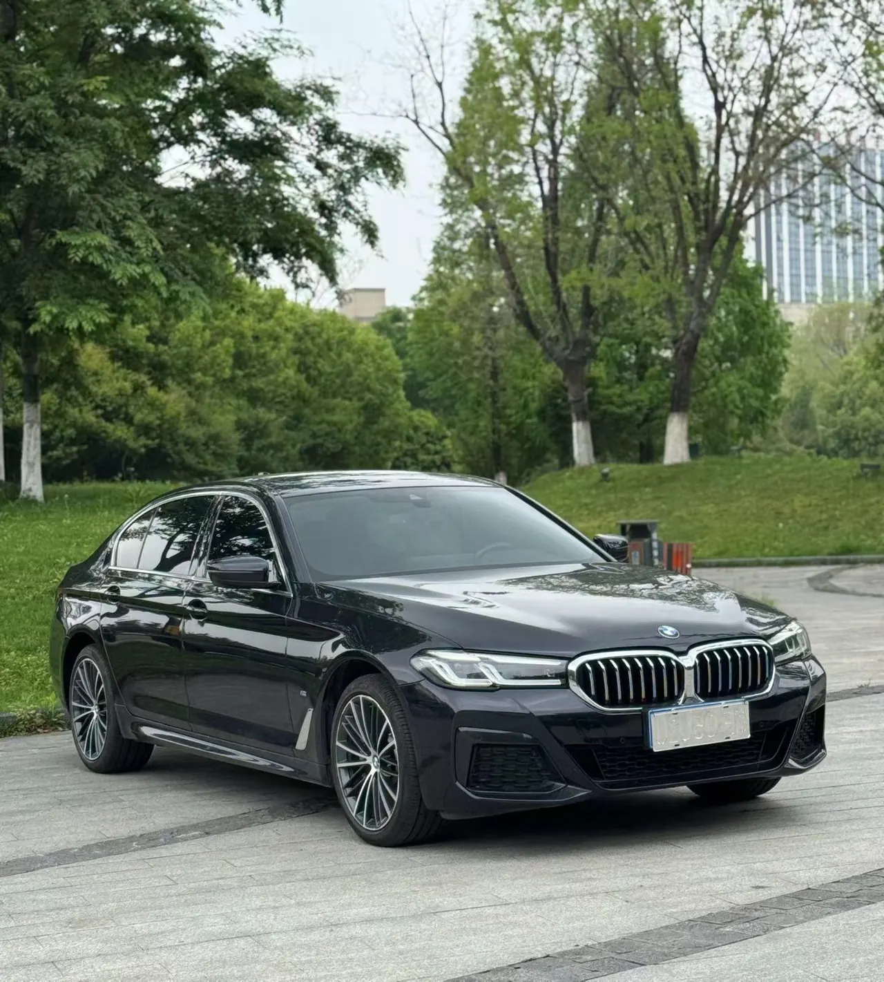 BMW 5 Series 2023 530Li xDrive 2.0T M Sports Suit Automatic Gear 3
