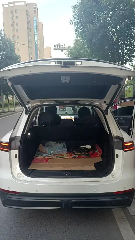 Chery 2024 Fengyun T9 C- DM 1.5T 120 Long Endurance Edition Standard 5-seat Automatic Gear 10