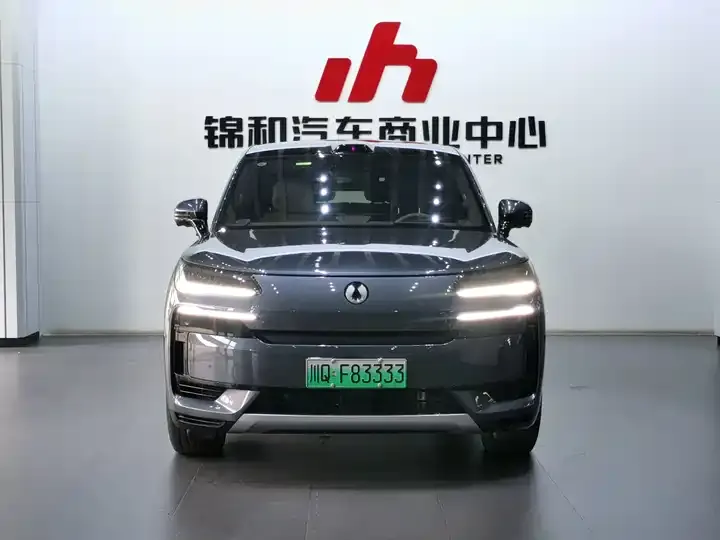 Denza N9 2025 Flagship 3