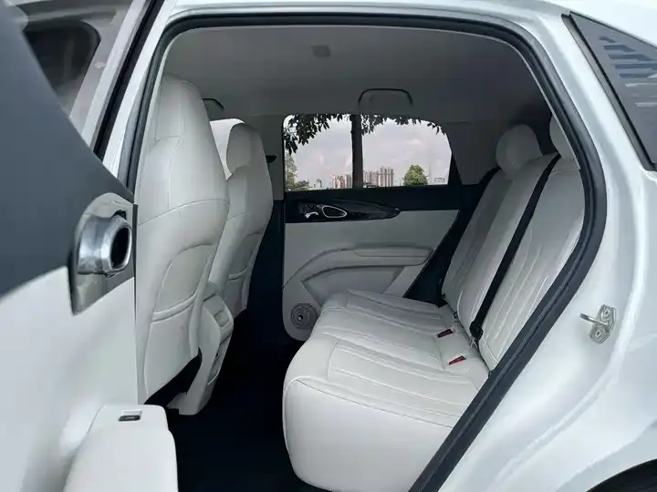 Star Wish 2025 Model 310km Dream Edition 6