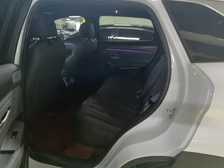Song L DM-i 2025 Smart Driving Edition 112km Exceed 11