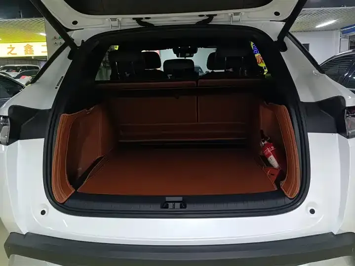 Song L DM-i 2025 Smart Driving Edition 112km Exceed 4
