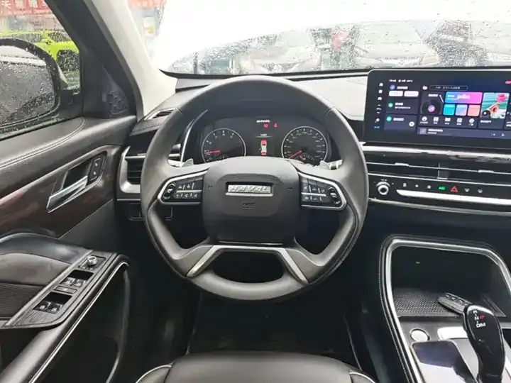 Haval H6 2021 National Tide Edition 1.5T Automatic City Edition 11