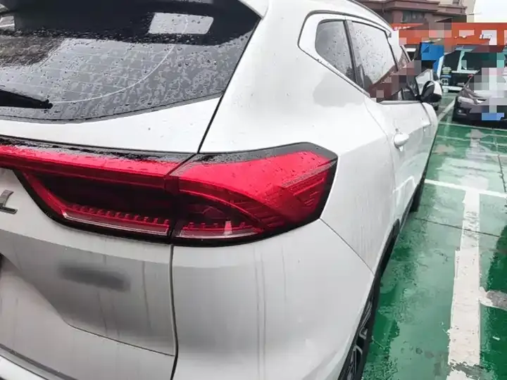 Haval H6 2021 National Tide Edition 1.5T Automatic City Edition 8