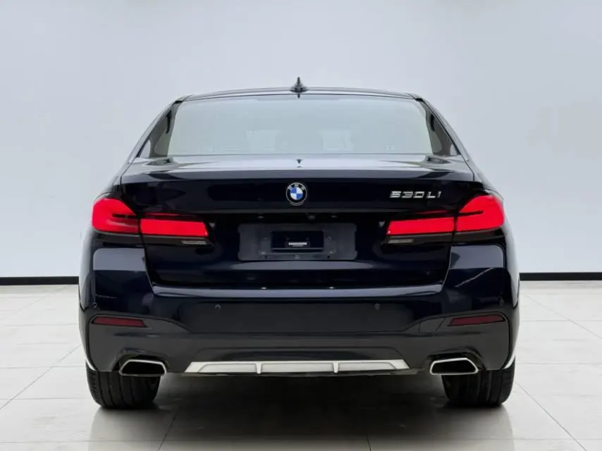 BMW 5 Series 2023 530Li 2.0T Leading M Sports Suit Automatic Gear 6