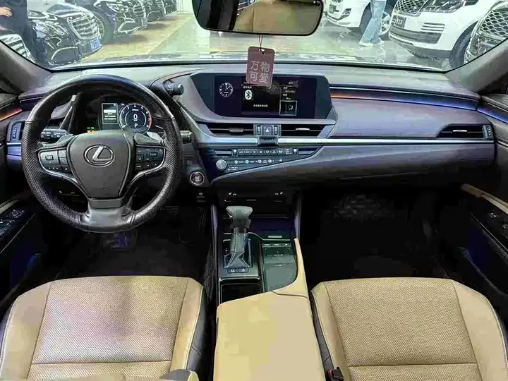 Lexus ES 2020 200 Excellence Edition 6