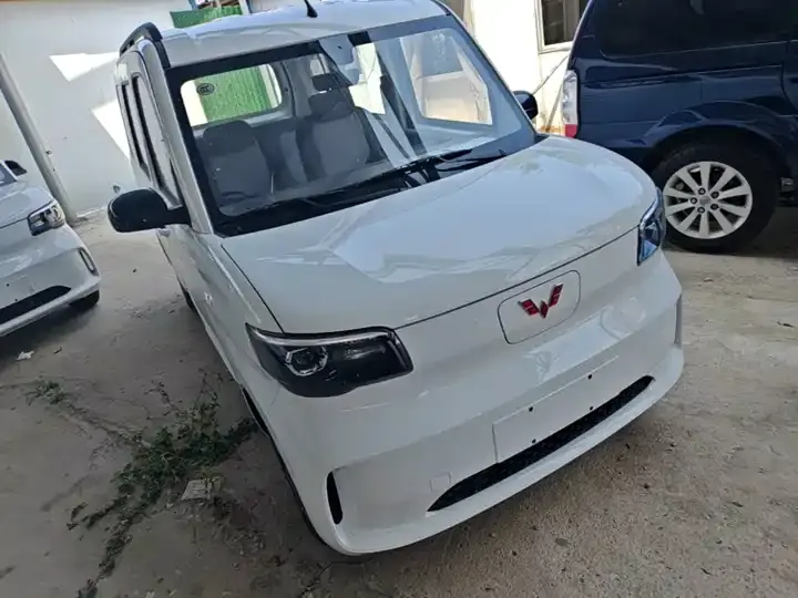 Wuling light new energy 2025 305km aggressive 4
