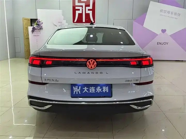 Lingdu 2022 Lingdu L 280TSI DSG Cool Edition 5