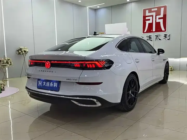 Lingdu 2022 Lingdu L 280TSI DSG Cool Edition 6