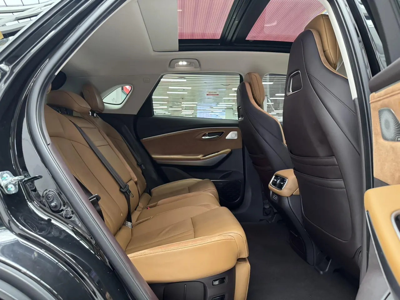 GAC Aion 2020 Aion LX Aion LX 80D Zhizhen Edition Automatic Gear 22