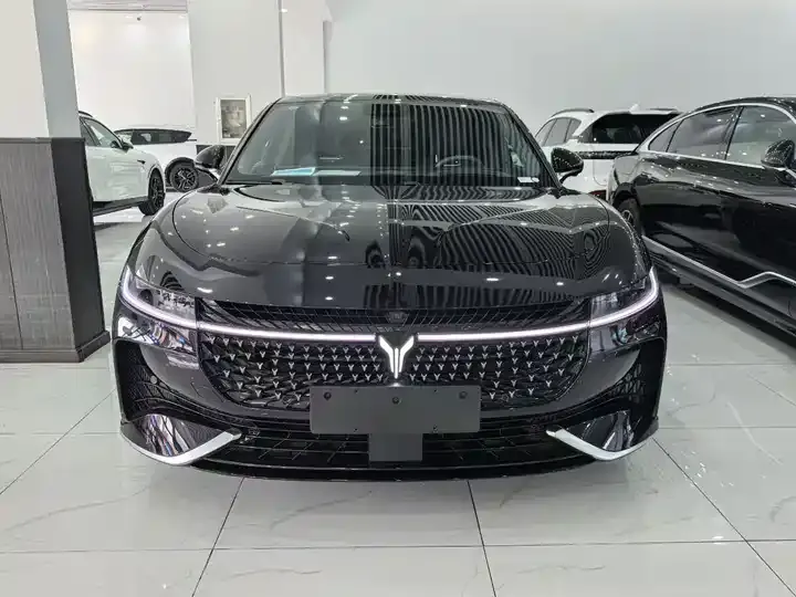 Voyah Chasing Light 2024 PHEV Four-wheel Drive Super Long Endurance Ultimate Edition 2