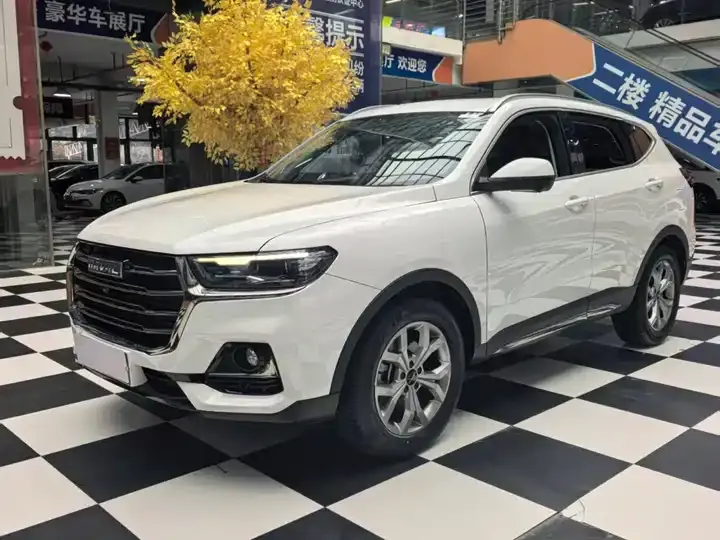 Haval H6 2021 1.5T Auto Champion Edition - View 1