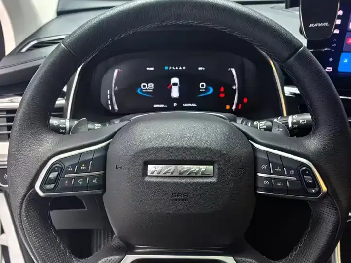 Haval H6 2021 1.5T Auto Champion Edition 10
