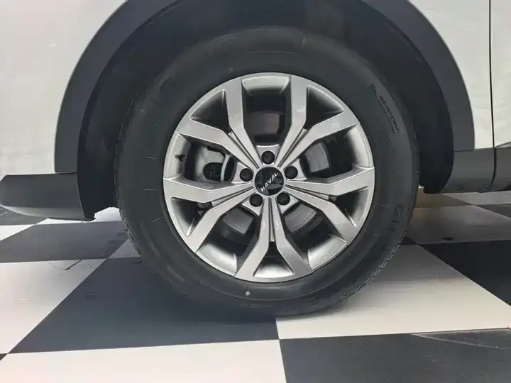 Haval H6 2021 1.5T Auto Champion Edition 4