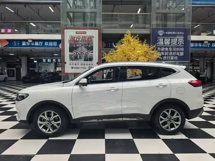 Haval H6 2021 1.5T Auto Champion Edition 5