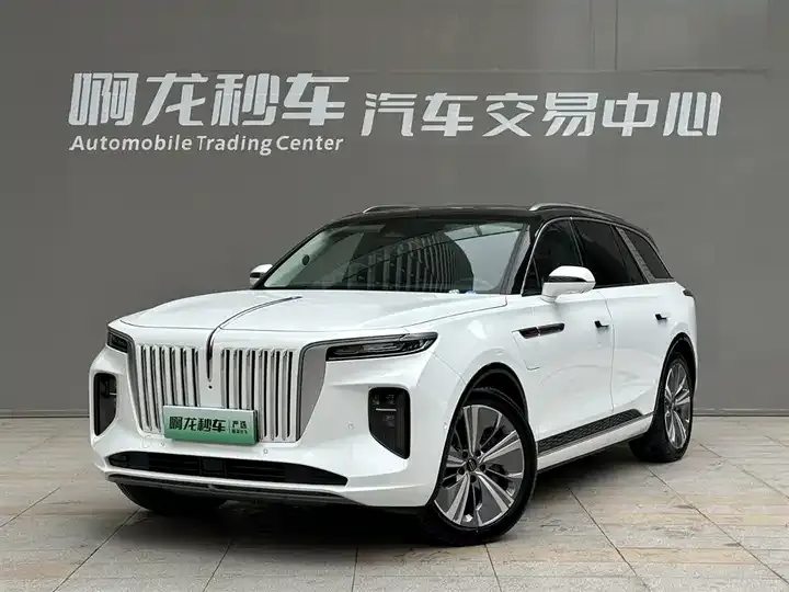 HongQi E-HS9 2022 660km flag Chang version of six - View 1