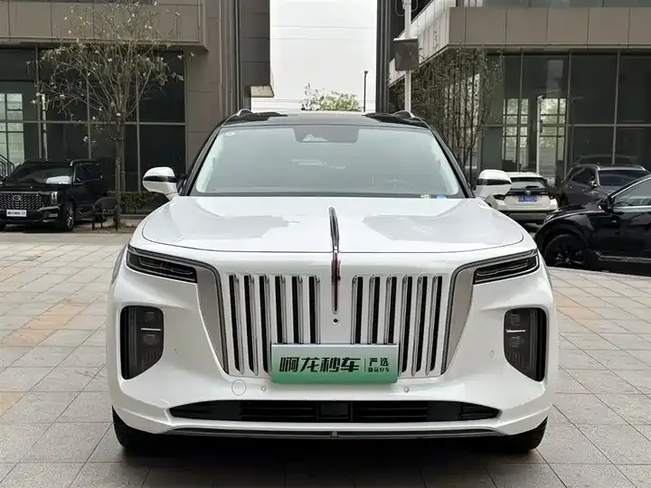 HongQi E-HS9 2022 660km flag Chang version of six 4