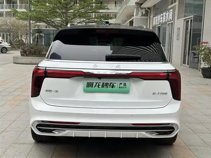 HongQi E-HS9 2022 660km flag Chang version of six 7