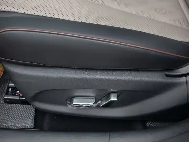 Dolphin 2025 420km Free Edition 12