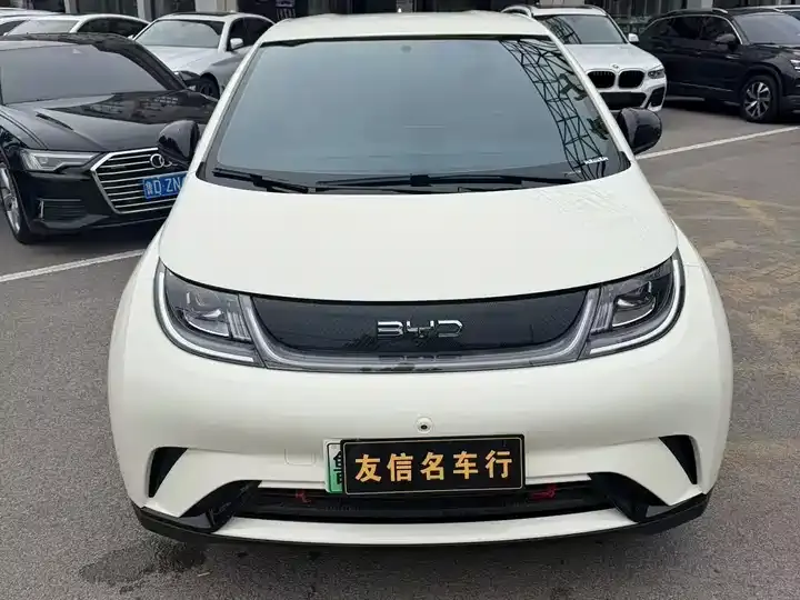 Dolphin 2025 420km Free Edition 2