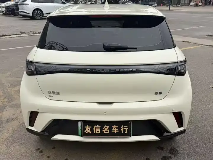 Dolphin 2025 420km Free Edition 4