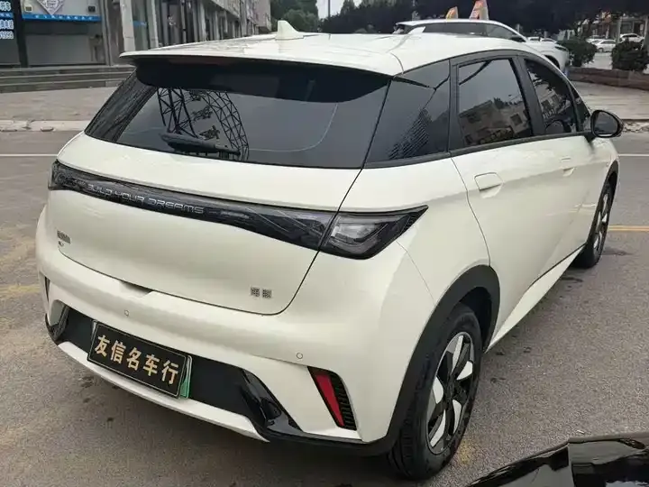 Dolphin 2025 420km Free Edition 5