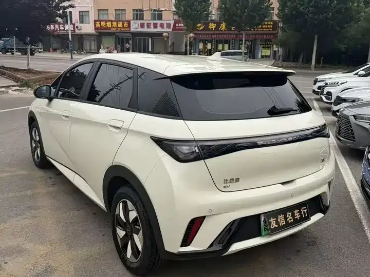 Dolphin 2025 420km Free Edition 6