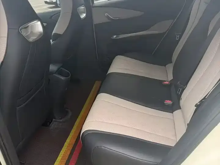 Dolphin 2025 420km Free Edition 8