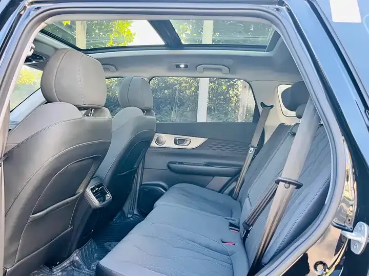 Fengyun T8 2025 1.5T 130km Comfort Edition 5 6