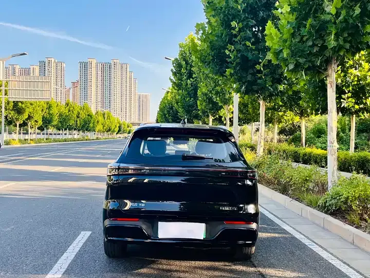 Fengyun T8 2025 1.5T 130km Comfort Edition 5 8