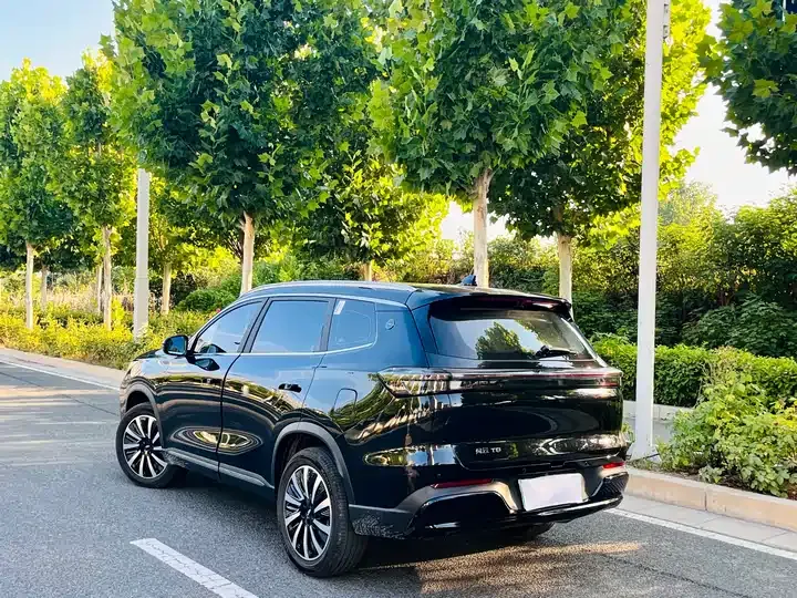 Fengyun T8 2025 1.5T 130km Comfort Edition 5 9