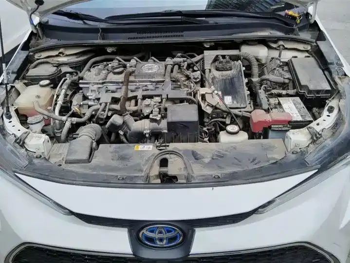 Lei Ling 2021 Double Engine 1.8H E-CVT Deluxe Edition 10