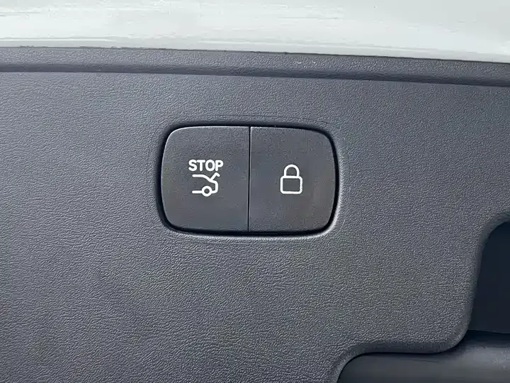 Leapmotor C11 2021 model, facelift, Luxury Edition 5
