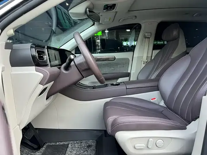 Leapmotor C11 2021 model, facelift, Luxury Edition 8