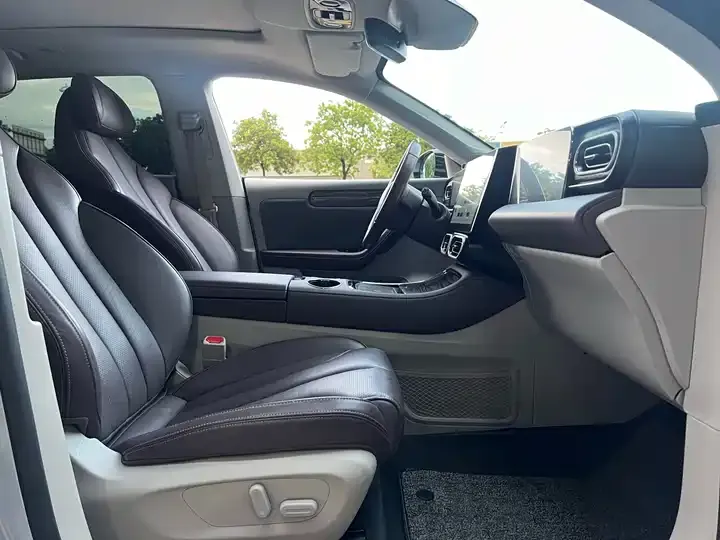 Leapmotor C11 2021 model, facelift, Luxury Edition 9