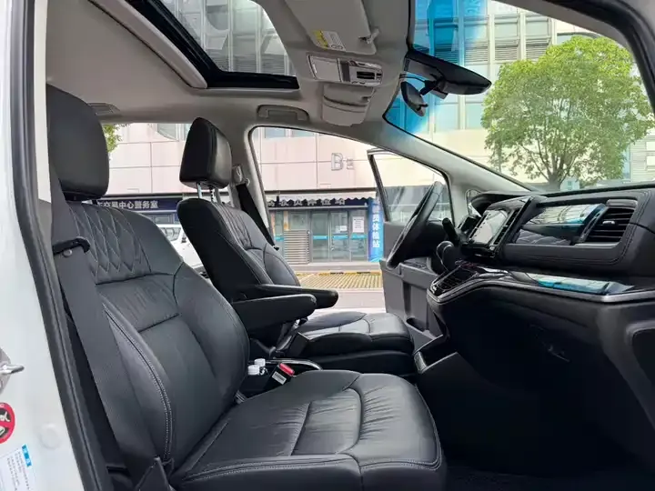 Elyson 2019 2.0L Hybrid Deluxe Edition 12