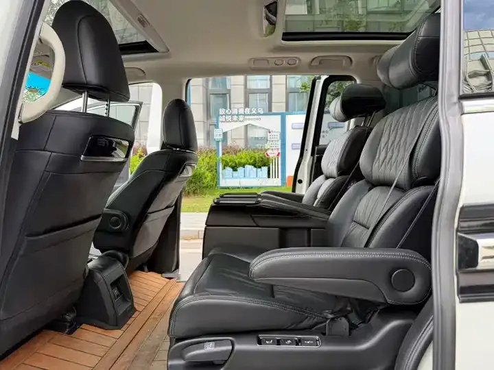 Elyson 2019 2.0L Hybrid Deluxe Edition 7