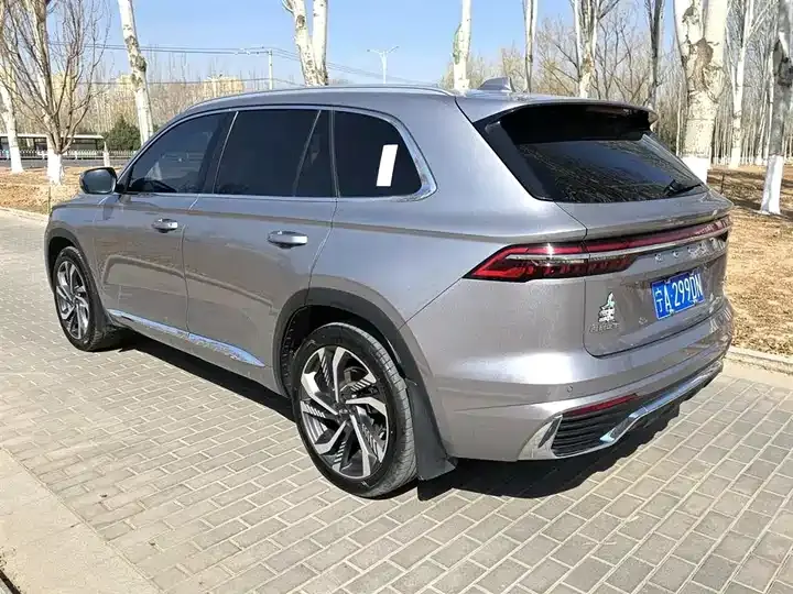 XingyueL (Monjaro) 2023 2.0TD High Power Automatic Two-Drive Flagship 9