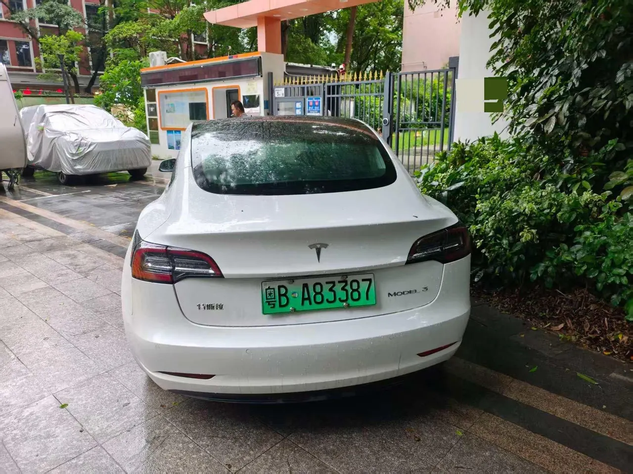 Tesla 2020 Model 3 Standard Endurance Rear Drive Upgraded Automatic Gear - View 1
