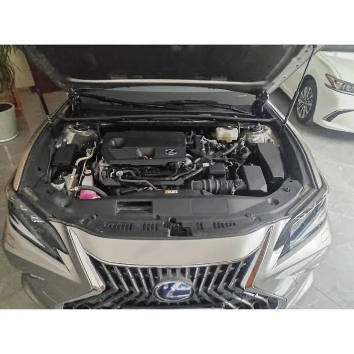 Lexus ES (Imported) 2021 ES300h 2.5 Stepless Premium Edition Automatic Gear 7