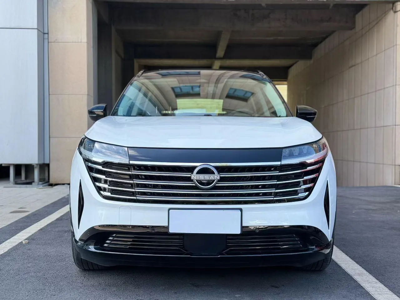 Nissan 2024 Tanlu 2.0T 380VC-TURBO 4-wheel drive Zhizun Edition 6-seat automatic gear 2