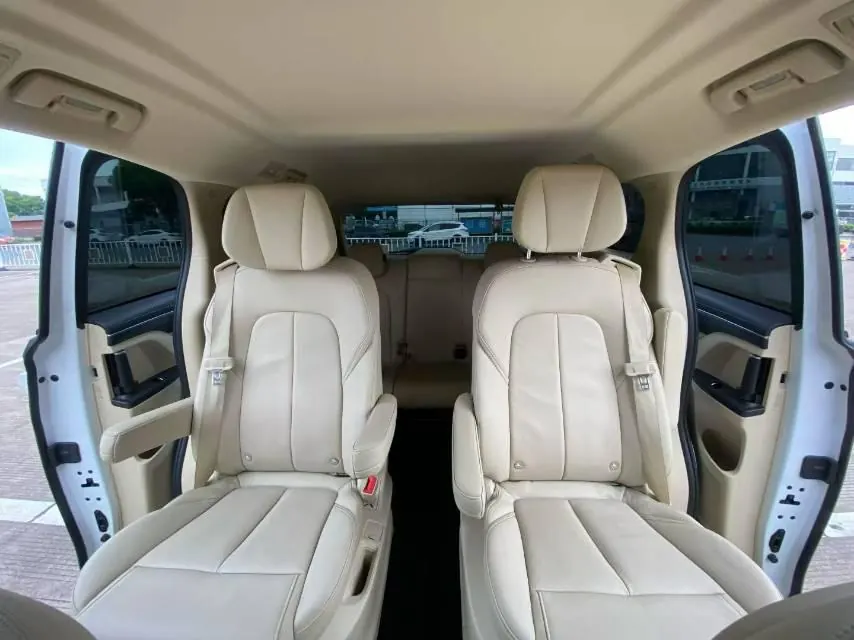 Buick 2023 GL8 ES Lu Zun 48V 2.0T 653T Exclusive Automatic Gear 6