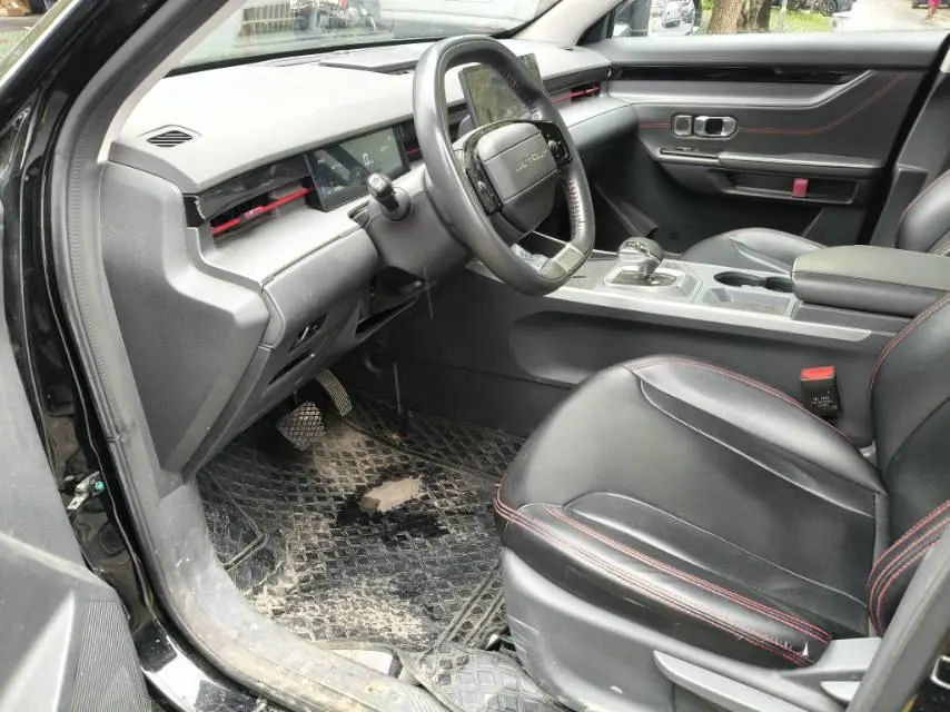 Jetour 2024 Dasheng 1.5T Xingyao Automatic Gear 4