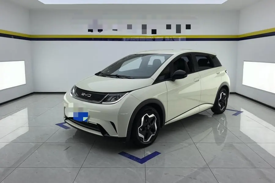 BYD 2021 Dolphins 405km Free Edition Automatic - View 1
