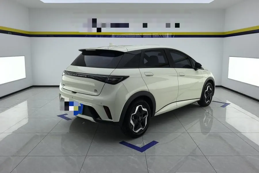 BYD 2021 Dolphins 405km Free Edition Automatic 2