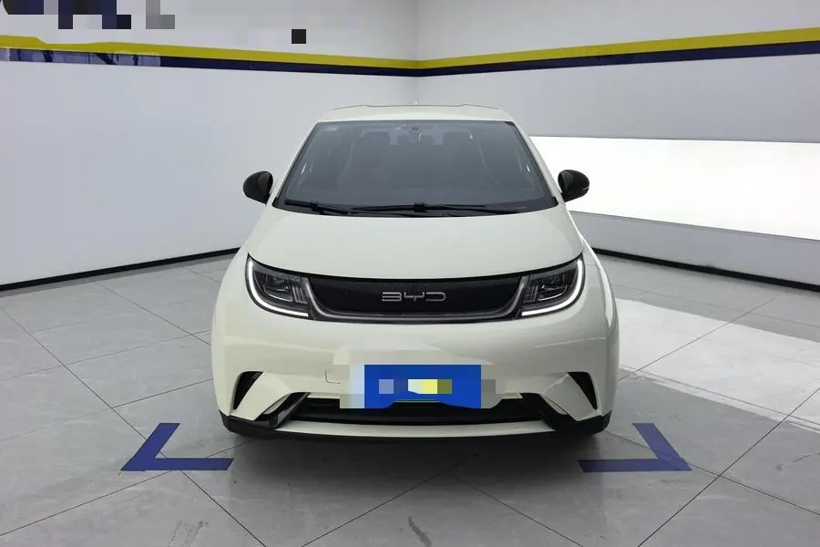 BYD 2021 Dolphins 405km Free Edition Automatic 3