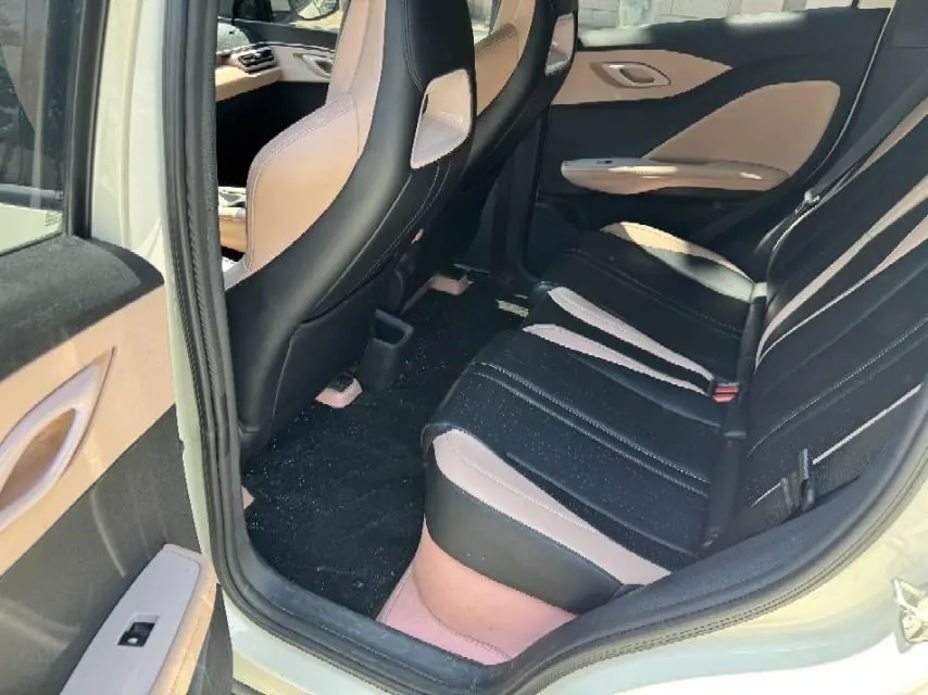 BYD 2024 Seagull Glory 305km Free Automatic Gear 8